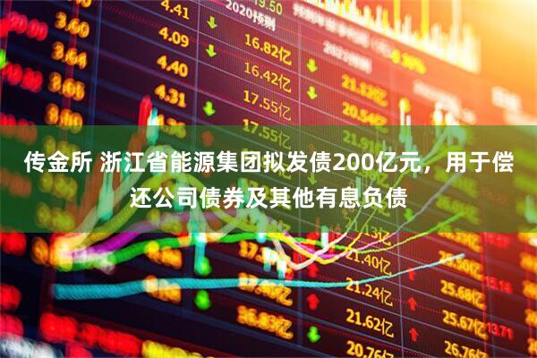 传金所 浙江省能源集团拟发债200亿元，用于偿还公司债券及其他有息负债